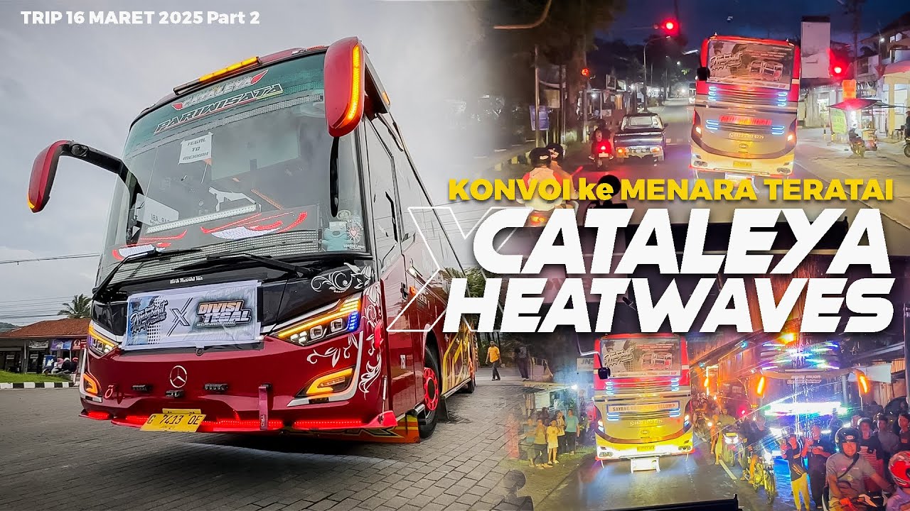 [ TRIP NGAPAK SELALU BEDA SENSASINYA ! ] KONVOY ARTIS TEGAL X BUMIAYU Part 2 Dewi Sri Cataleya