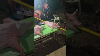 Happy Fiesta Molopolo Macrohon