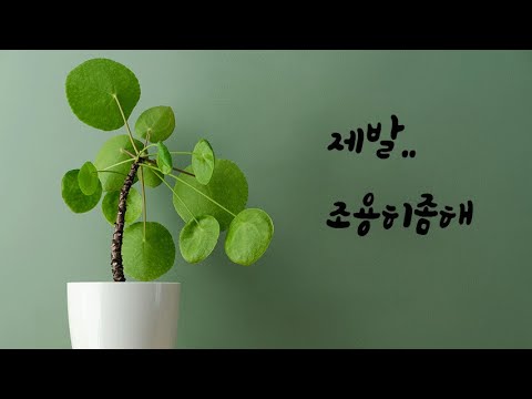 남자친구 아픈지도 모르고 화내는 여자친구ASMR
