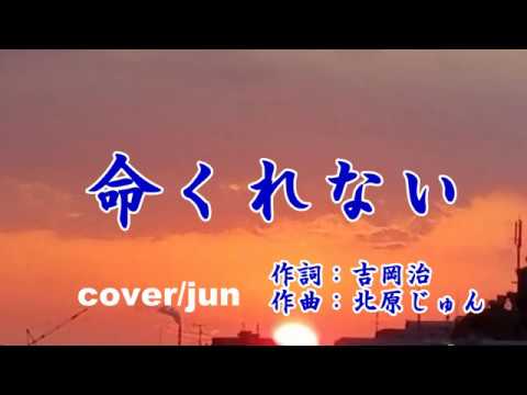 『命くれない』瀬川瑛子　カバー/じゅん