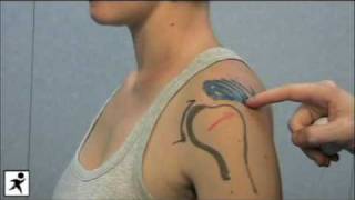Shoulder Examination Part 2