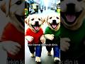 puppy imosanal story puppy ki Kahaani puppy love imosanal story👍 🤣 #mischievousdog #puppyki
