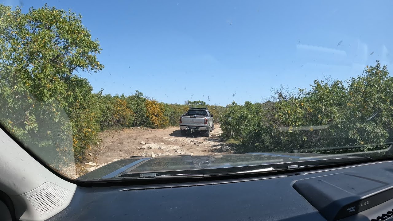 6 Kids Camping Adventure BEST CARAVAN PARK EVER? WILLOWBROOK GIN GIN