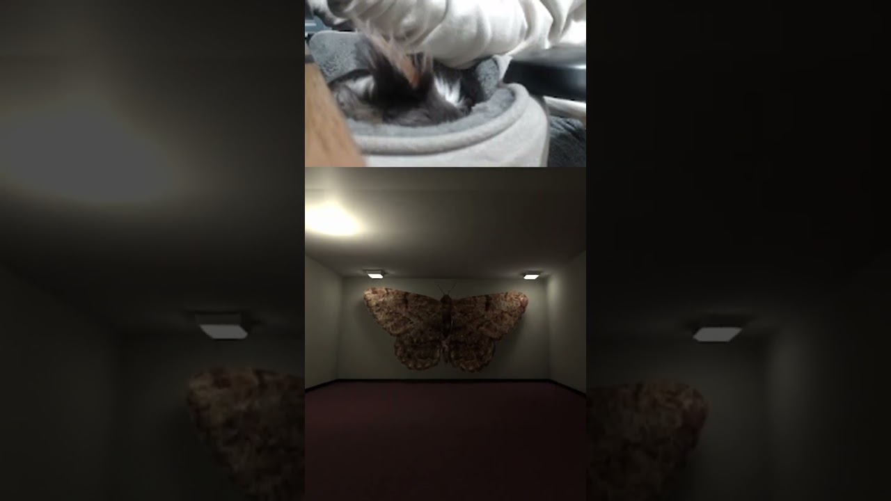 Seybul Tech: Moth Jump Scare! Psychological Horror Liminal Space Game