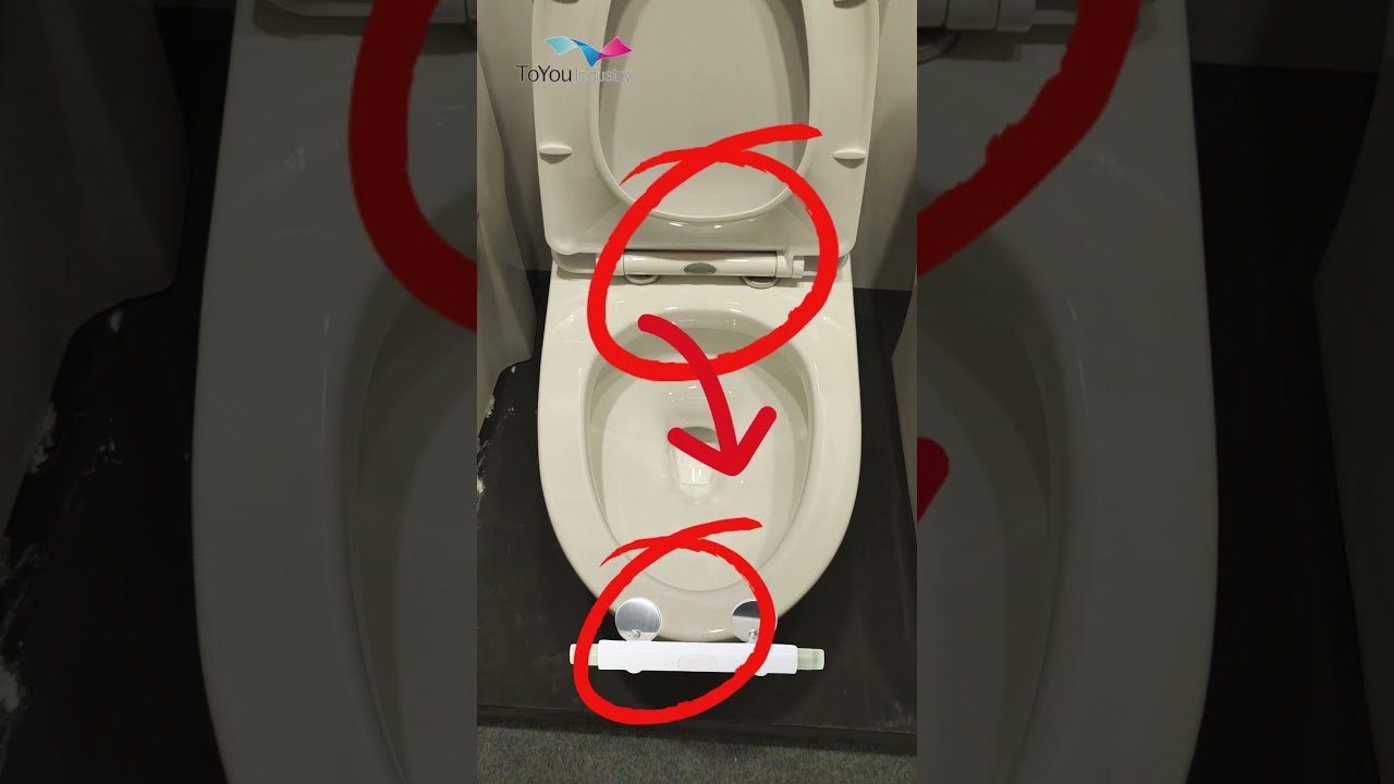 Damper for Toilet—Soft Close Toilet Seat Hinge