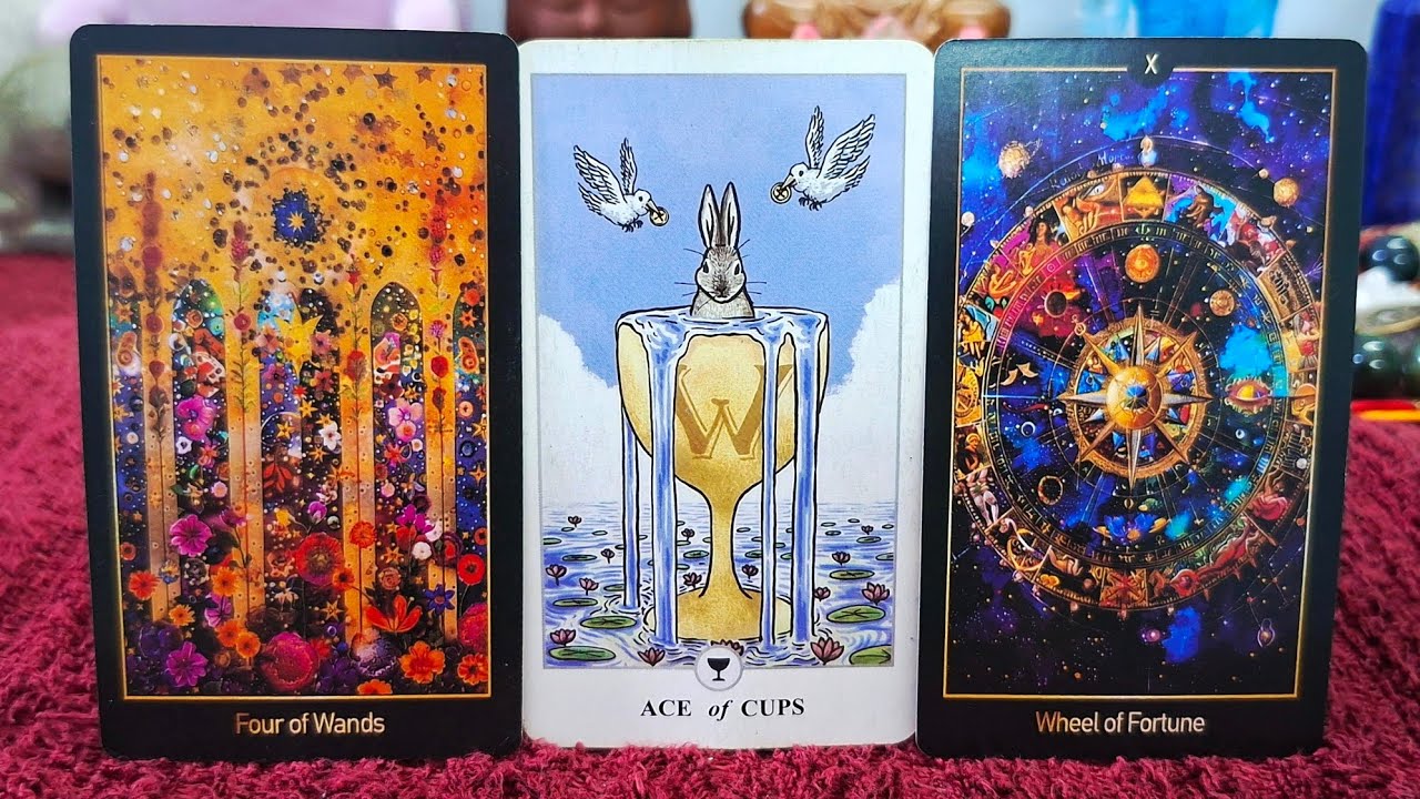 Vũ trụ đang se duyên bạn cùng ai 🔥💥💖 #vtarot #xemtarot 