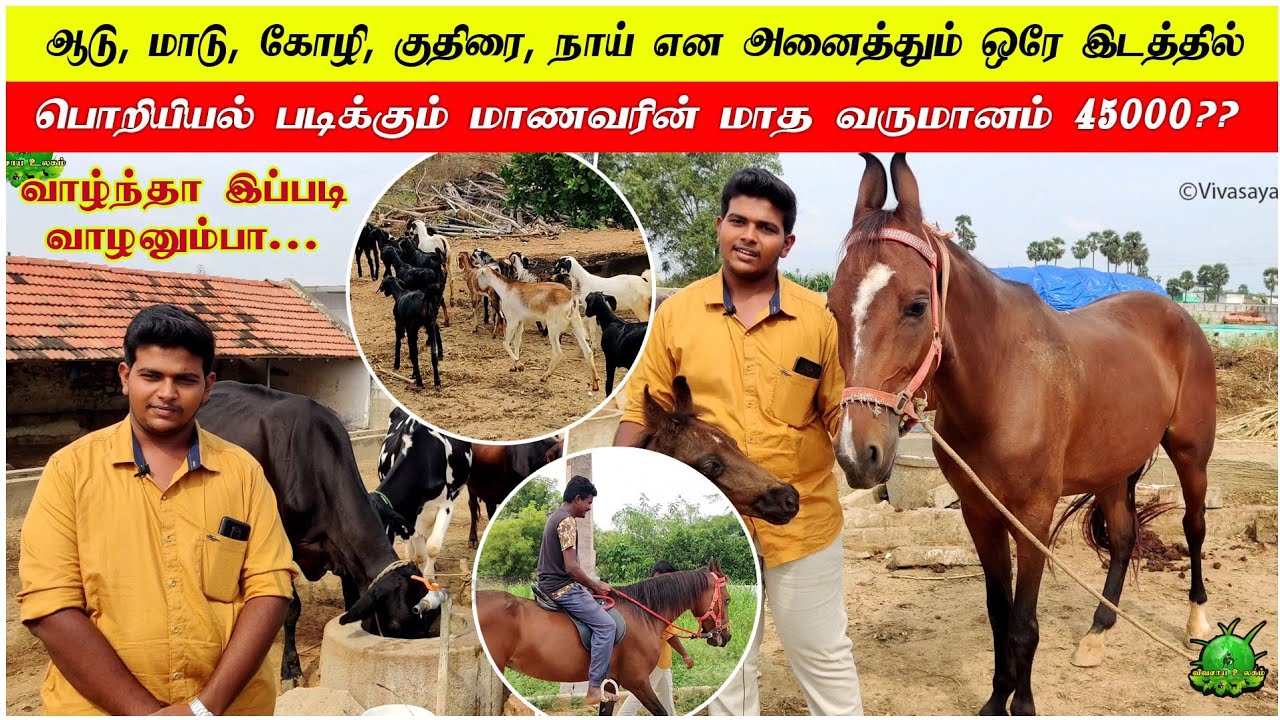 ஆடு , மாடு , கோழி, குதிரை, நாய்  என அனைத்தும் ஒரே இடத்தில் / வாழ்ந்த இப்படி வாழனும்பா ??