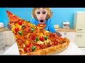 Monkey baby bon bon eat giant pizza in the garden and harvest watermelons with ducklings