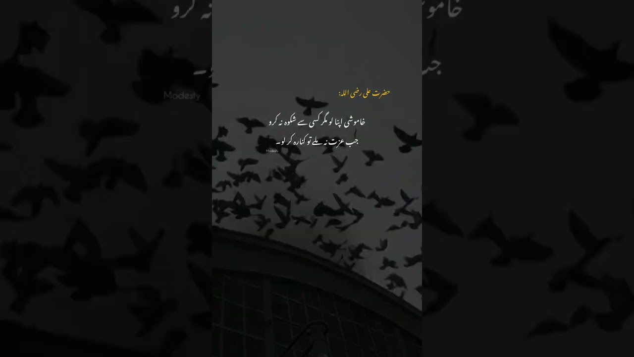 New islamic video viral video viral news viral shots viral fever