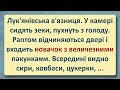 Лук&#39;янівська В&#39;язниця! Українські Анекдоти! Анекдоти Українською! Епізод #162