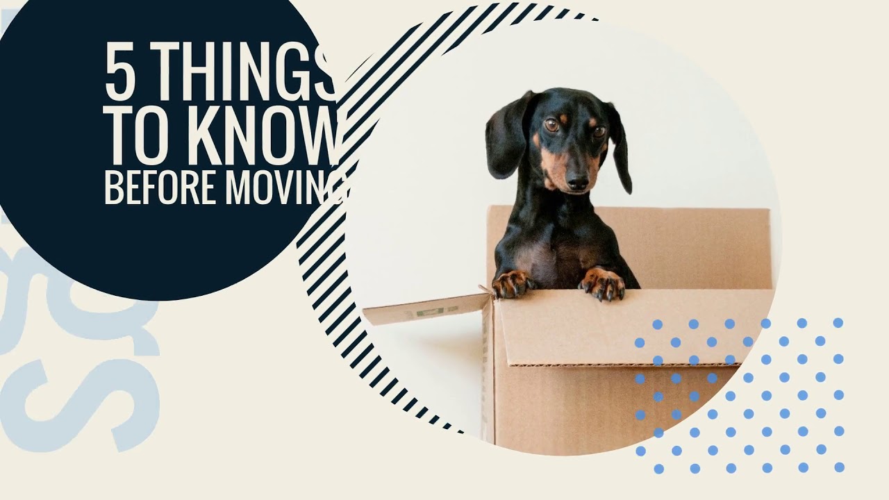 Hall & Hunter Realtors