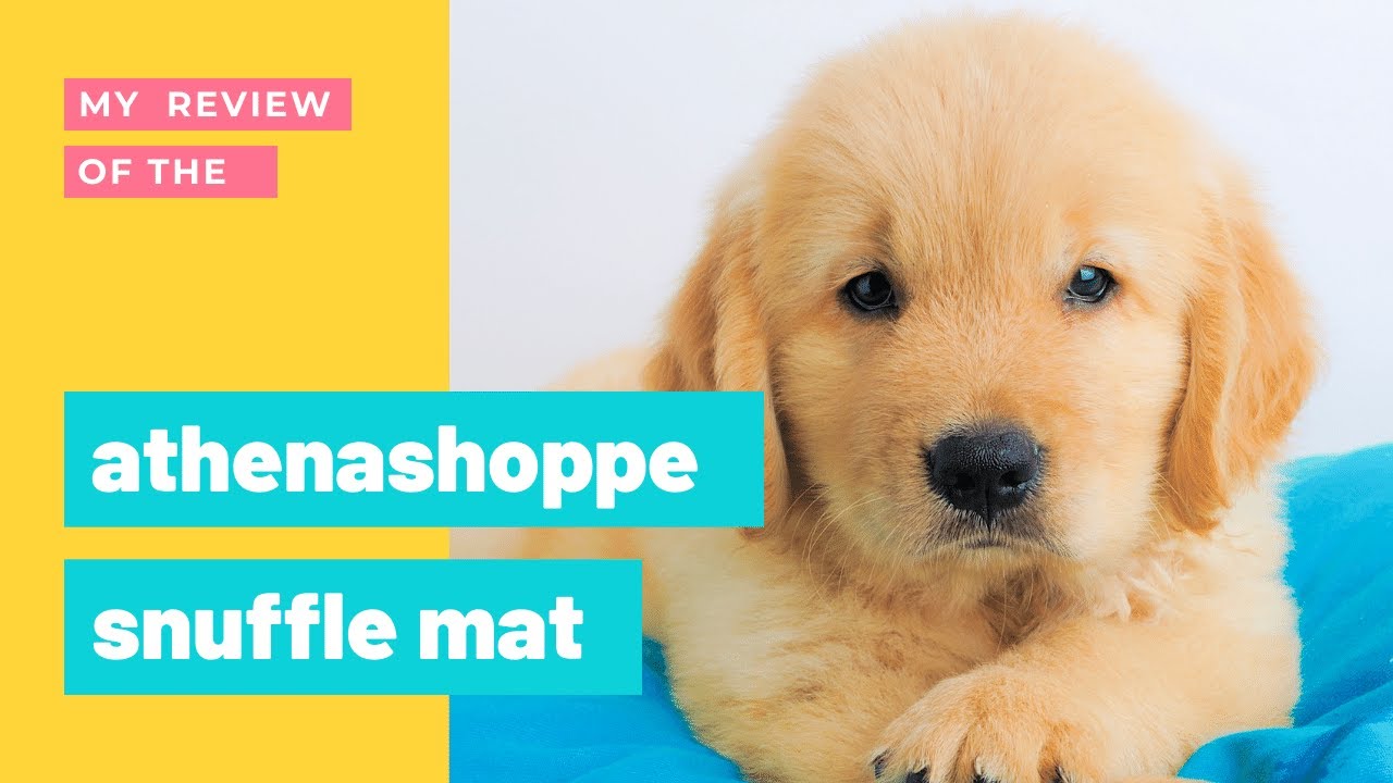 Snuffle Mat Review Snuffle Mat YouTube