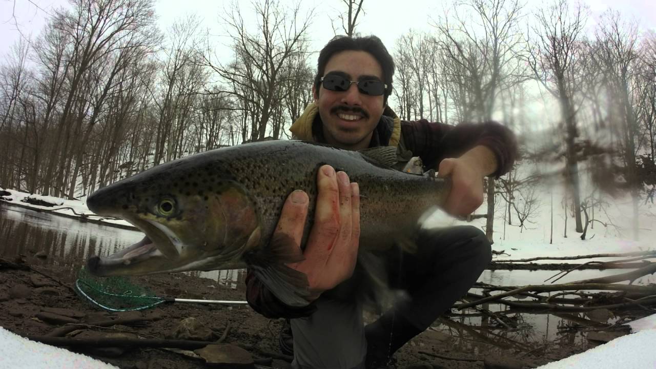 Fly Fishing Oak Orchard (31015) YouTube