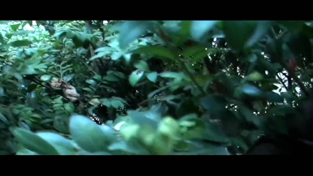 Panasonic NV-GS180 Test (Relaxing video) HD