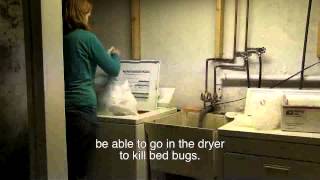 Kill Bed Bugs Through Laundry - Somali Video Kill Bed Bugs Through Laundry Hmong Video