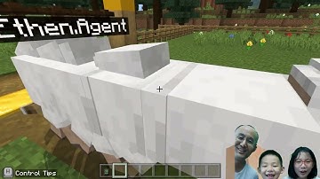 GRAY WOLVES   Block 5 Lesson 1   MINECRAFT EDUCATION BLOCK CODING