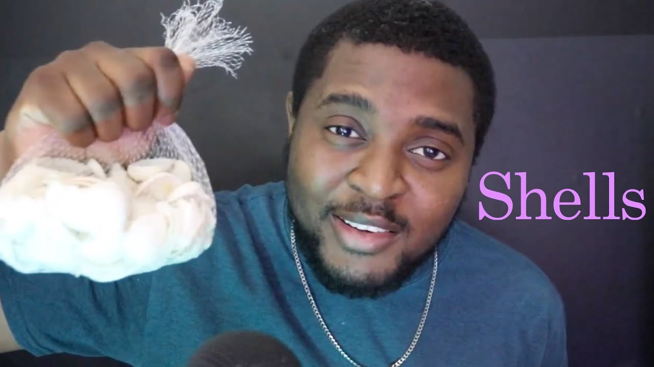 Shell Rubbing ASMR Rubbing Shells Together - YouTube