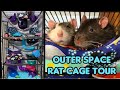 Outer Space Themed Rat Cage Tour | 8 FT TALL RAT CAGE