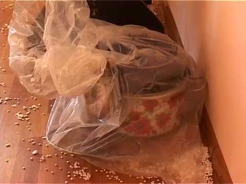 დევნილი ოჯახი სახელმწიფოს კუთვნილ ბინაში მეორედ შეიჭრა 7 04 2015