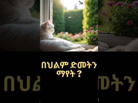 በህልም ድመትን ማየት ህልም