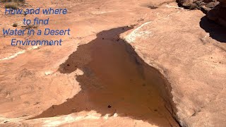Where to find Water in a Desert Environment