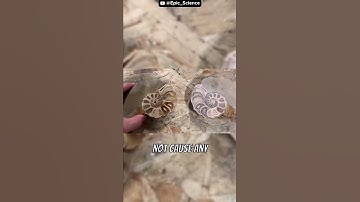 Water is The Most Sharpest Weapon 😎