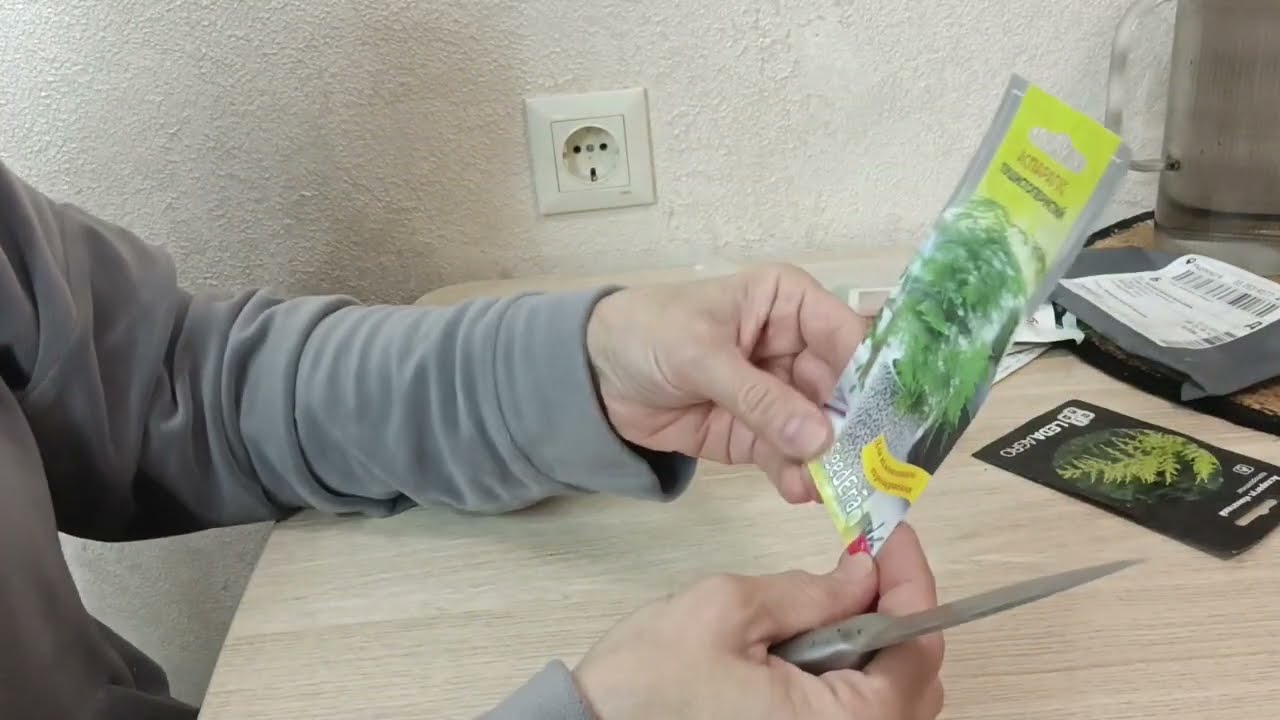 Кімнатні рослини: висіваю насіння