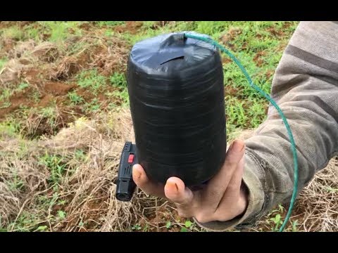 310 gram Flash