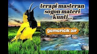 MASTERAN SOGON MATERI KUNTI   GEMRECIK AIR#fyp#masteranburung #kicaumania#kicaumanianusantara#sogon