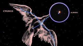 Tonight's Sky: August 2014