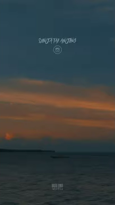 Story Wa Keren Senja Tai Anjing