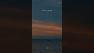 Download Lagu Story Wa Keren Senja Tai Anjing MP3