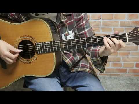 かもめはかもめ（中島 みゆき）のギターソロ、初級から中級向け楽譜の演奏動画