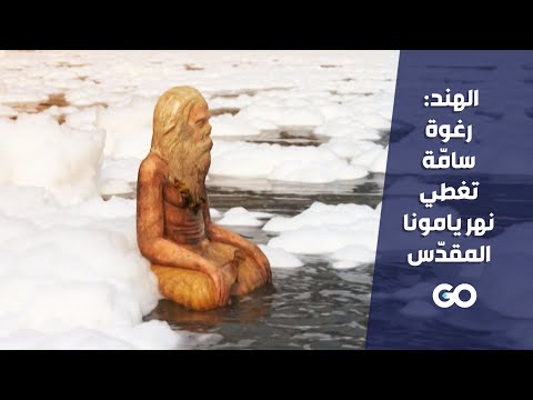 فيديو: لماذا يتلوث نهر يامونا؟