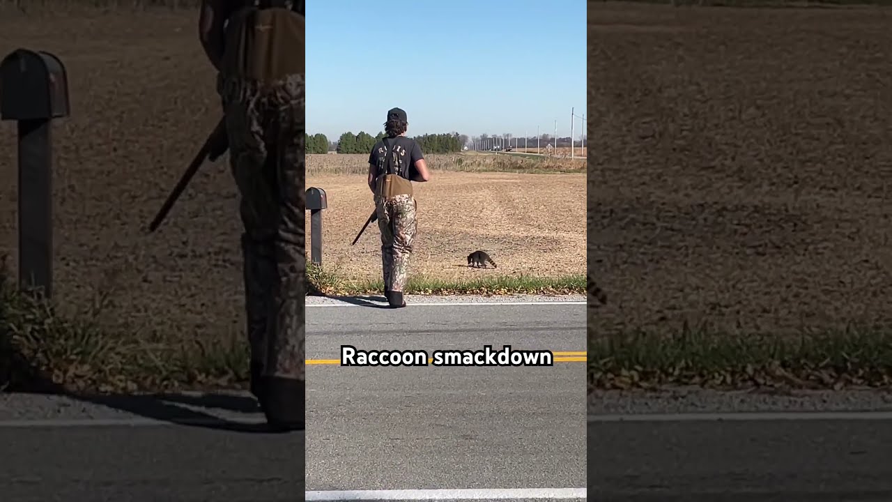 Guy Tried To Assassinate Raccoon Hunt Hunting Guns Shooting Hunter Raccoonhunting