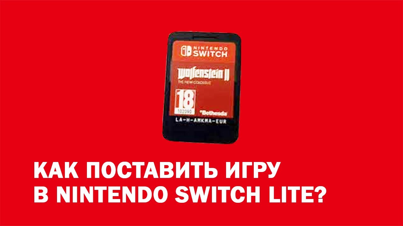 Как поставить игру в Nintendo Switch Lite?