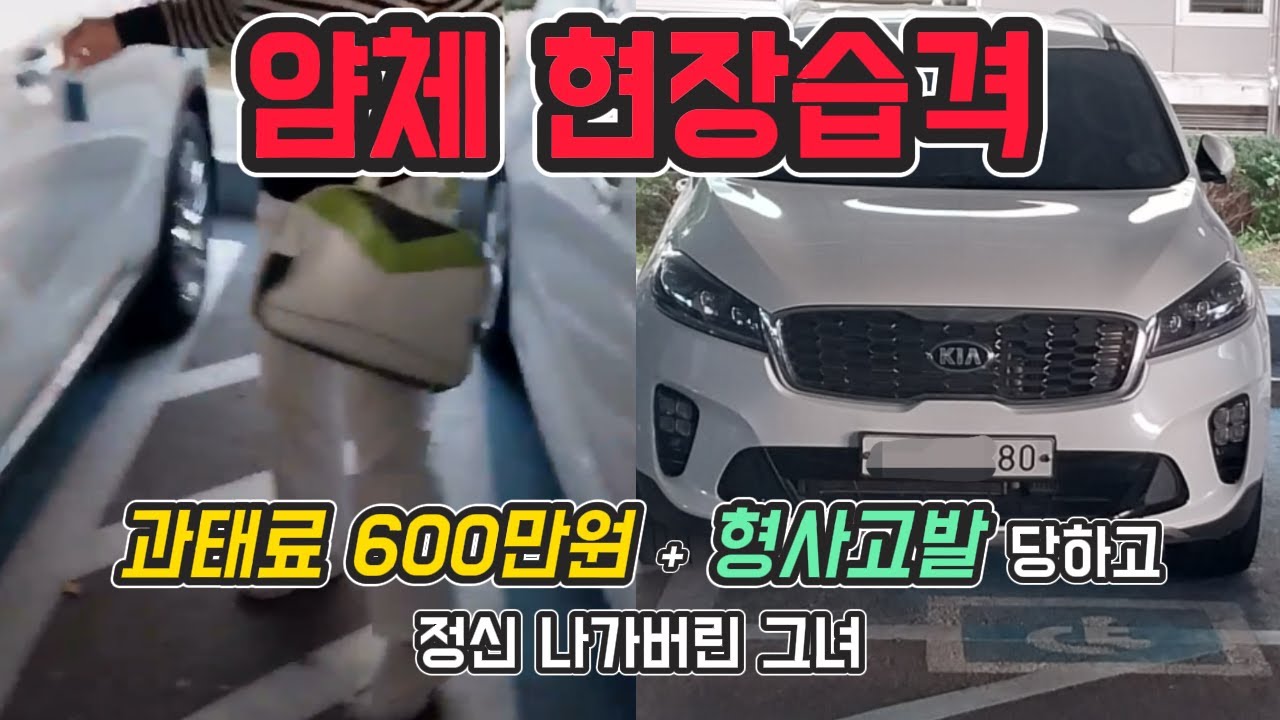 과태료 600만원 + 형사고발 당하는 얌체의 최후는? 장애인 자동차 표지 불법사용 하다가 걸려버린 얌체