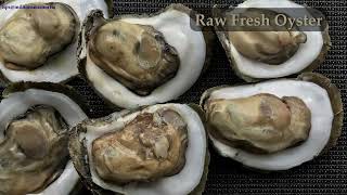 Raw Fresh Oyster tropical oysters oyster