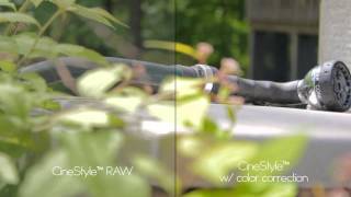 Technicolor CineStyle™ Test (Canon t2i)