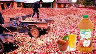 Cosecha de huertos de manzanas: tecnología moderna de jugo de manzana embotellado