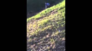 What happens when you mix tannerite, gas, a refrigerator an