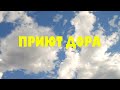 Благодарим юных помощников! || Такса ZЕва || Они ищут дом! 🐶🐱