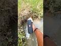 jbl essential filip2 ✨️  test water drop testing