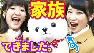 【クレーンゲーム】本物の犬サイズの豆しば三兄弟を確率機ゲット！