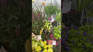 2023 New Variety Showcase Walters Gardens