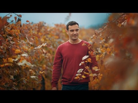 #ისწავლერაცგიყვარს - ვანო შიუკაშვილი