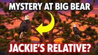 Bald Eagles | Big Bear | Shadow | Mystery Visitor