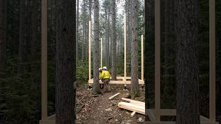 From Empty Forest to Luxury Treehouse 🌲✨ Insane Build Timelapse #beforeandafter #tinyhouse