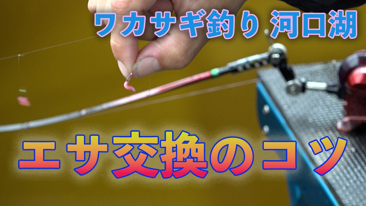 ワカサギ釣り エサ交換のコツ