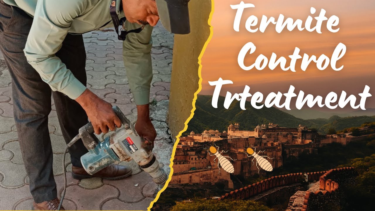 Termite (White Ants) Control Treatment